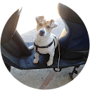 Gaspare Corso profile picture